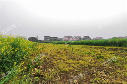 云南黄山镇2016年农业支持保护补贴标准为多少？