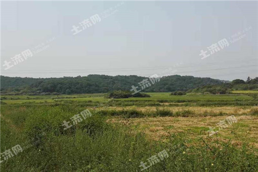 湖南省新田县关于2016年-2017年农村土地流转指导基准价的通知