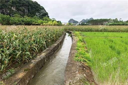 河北省张北县2016年农业支持保护补贴标准是多少？