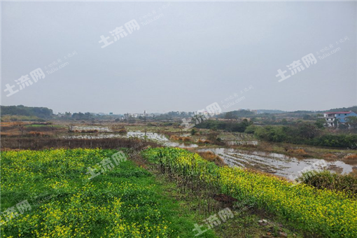 重庆市江津区白沙或慈云一带土地流转价格大概是多少钱一亩？