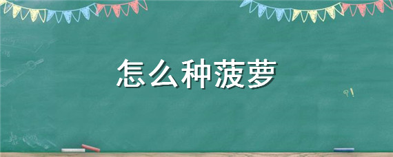 怎么种菠萝