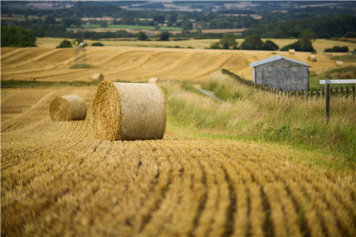 农业生产-摄图网