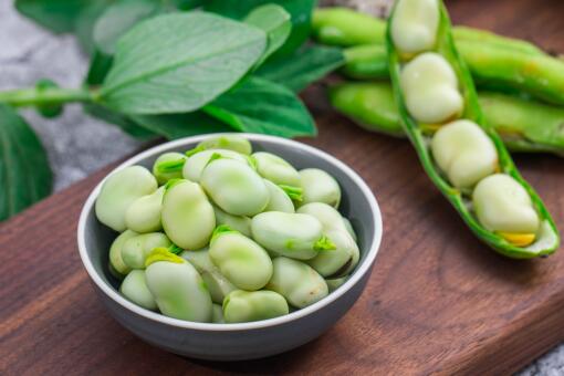 蚕豆几月份种植 种植方法有哪些 我国哪些地方适合种植蚕豆 土流网