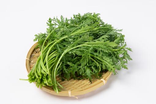 中药青蒿多少钱一斤 种青蒿赚钱吗 种植前景如何 土流网