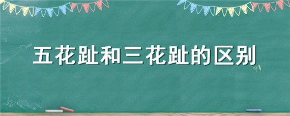 五花趾和三花趾的区别 土流网