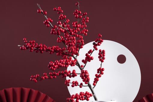 木奶果价格多少钱一斤 适合哪里种植 土流网