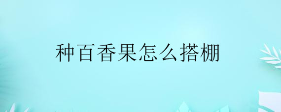 种百香果怎么搭棚——自制