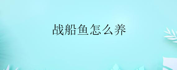 战船鱼怎么养——自制