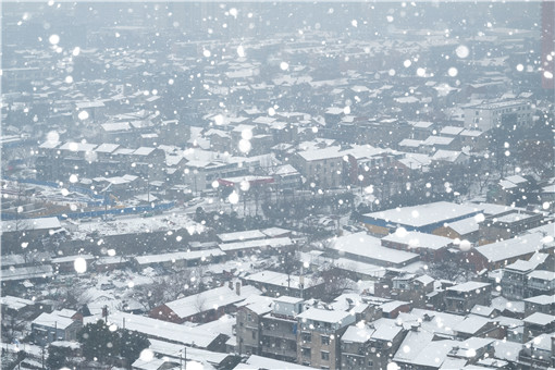 黑龙江连发20个暴雪预警！具体是怎么回事？附预防措施！