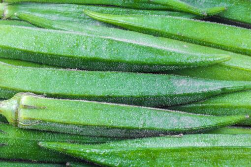 18年种什么最赚钱 种牧草玉米 秋葵 树莓 草果等 一亩能赚五亩的钱 土流网