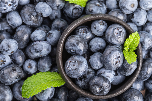 野生蓝莓更好吃!成熟时间是什么时候?