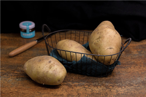 土豆-摄图网