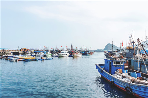 2021年渔业补贴政策是怎样的？补贴项目有哪些？