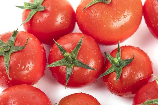 中国高产西红柿优质种子品种介绍-摄图网