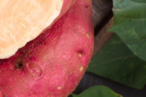 红薯叶多少钱一斤——摄图