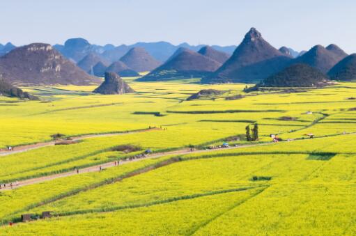 土地面积——摄图