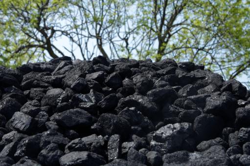 煤——摄图