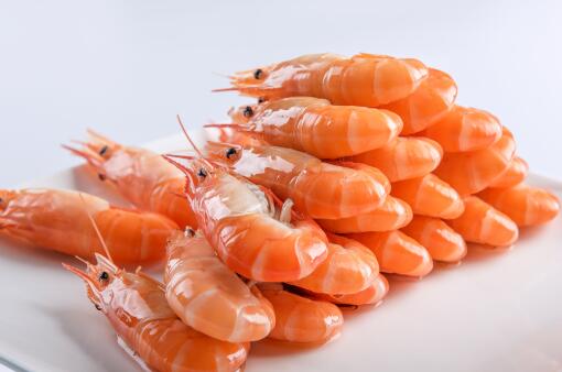 虾稻虾养殖补贴——摄图
