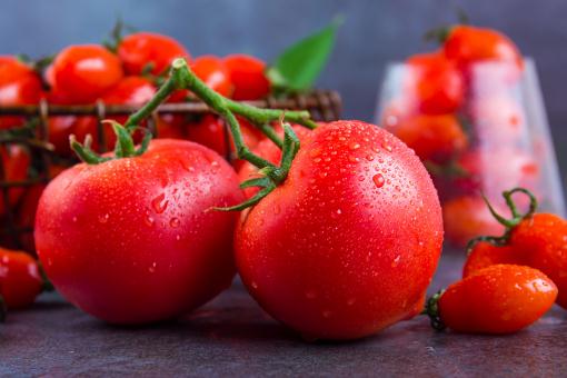 西红柿的功效与作用及禁忌有哪些？生吃有什么好处？