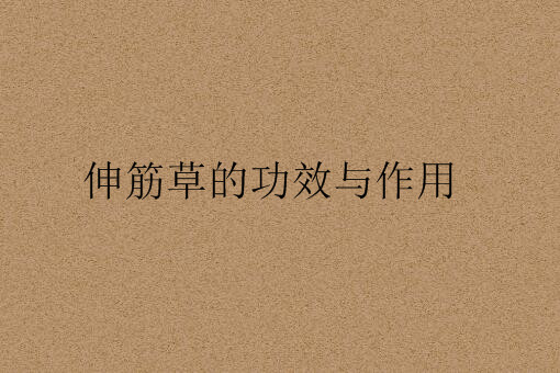 伸筋草的功效与作用——自制