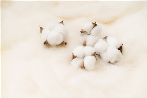 新疆棉花质量好的原因-摄图网
