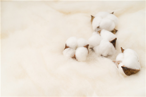 新疆棉花质量好的原因-摄图网