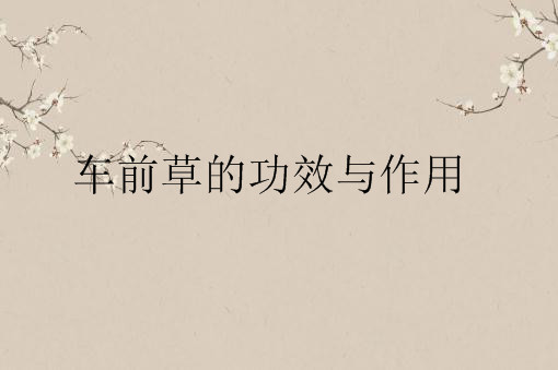 路边常见的车前草的功效与作用及食用方法有哪些 可以泡水喝吗 有没有副作用 土流网