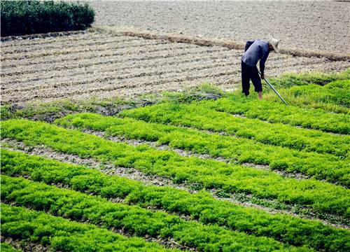 2021土地管理法实施条例-摄图网