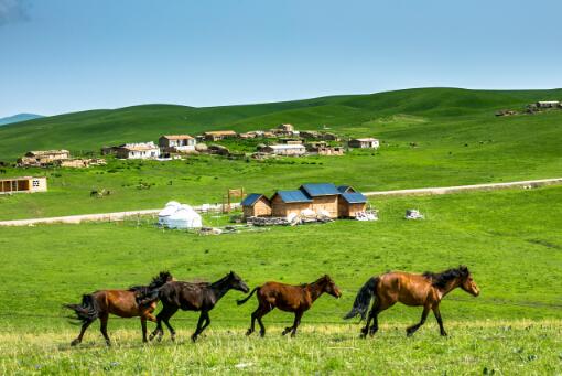 新疆农场-摄图网