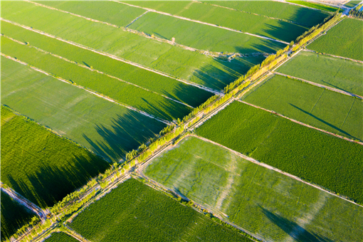 黑龙江农业补贴政策2021标准-摄图网