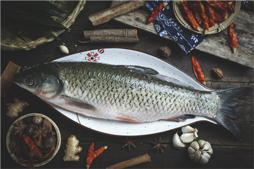 2021年养殖什么鱼最赚钱-摄图网