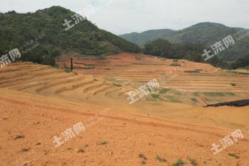 红土地适合种植什么