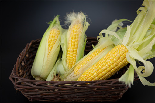 玉米每吨上涨400元-摄图网