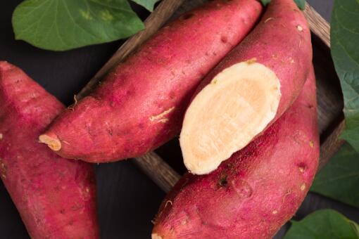 夏至后栽种红薯不结红薯-摄图网