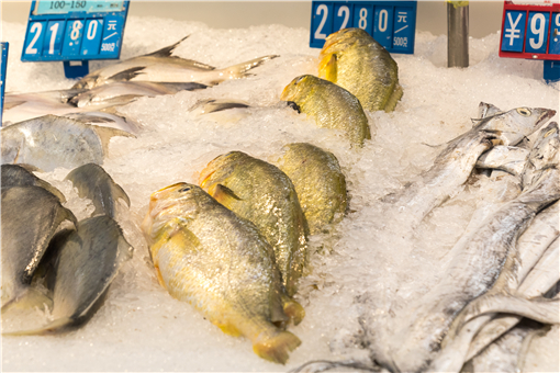 大黄鱼价格多少钱一斤-摄图网