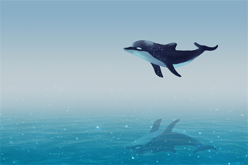 鯨魚擱淺是什么意思-攝圖網