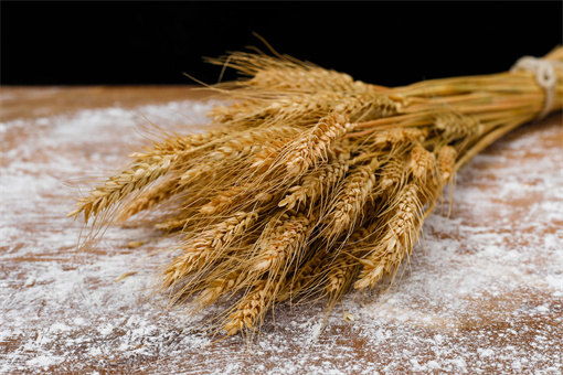 2022年小麦最低收购价多少钱-摄图网