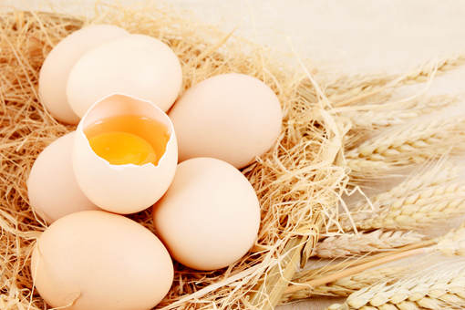 近期鸡蛋价格为何上涨-摄图网