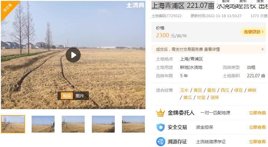 上海青浦区 221.07亩 水浇地经营权 出租-土流网官网截图