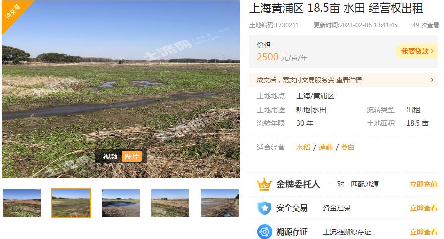 上海黄浦区 18.5亩 水田 经营权出租-土流网官网截图