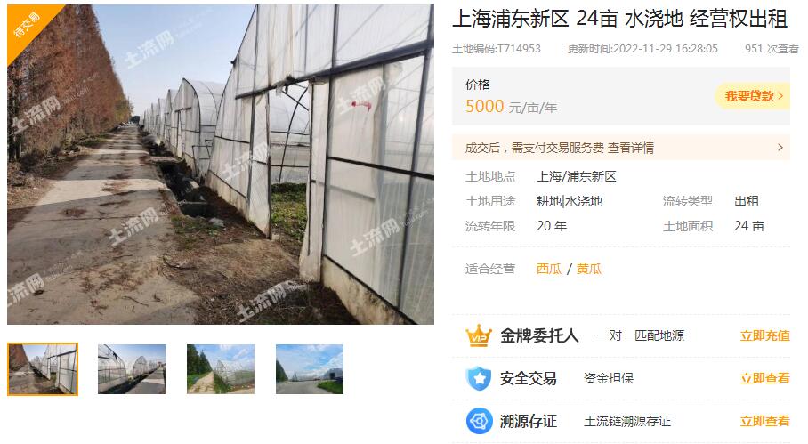 上海浦东新区 24亩 水浇地 经营权出租-土流网官网截图