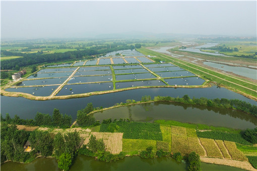 夏季水产养殖生产的通知-摄图网