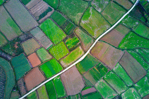 安吉县2023年农业高质量发展奖补标准-摄图网