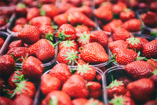 草莓-摄图网