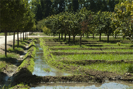 灌溉-摄图网
