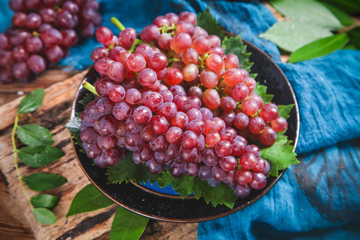 红提葡萄种植技术-摄图网