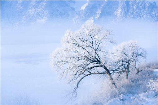 小雪节气-摄图网