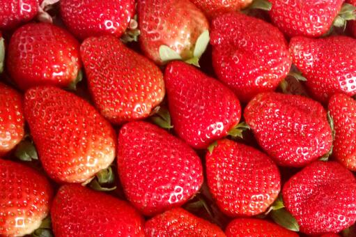 今年冬天草莓售价明显下降-摄图网