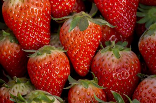 草莓价格多少钱一斤2024-摄图网