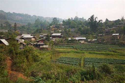 農(nóng)村家庭土地是如何分配的